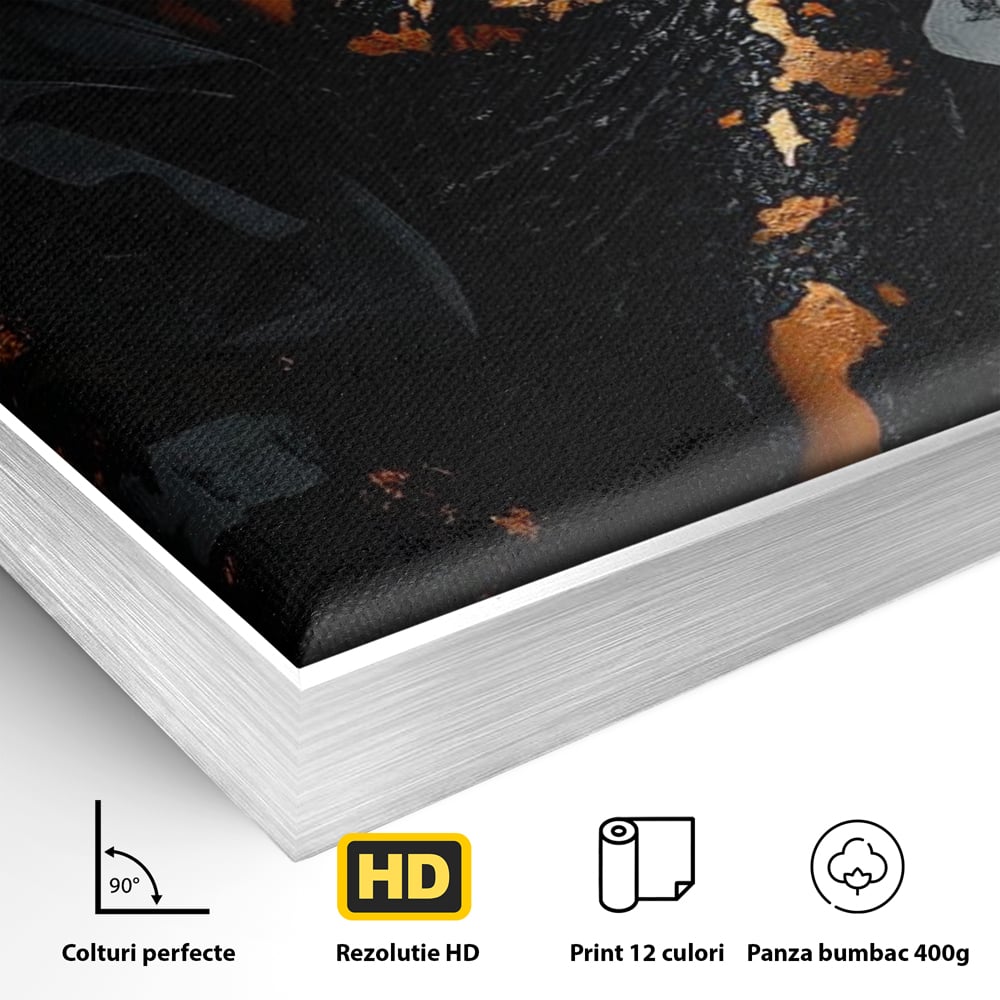 Detaliu al suprafetei: tablou canvas cu portret de femeie, in rama de aluminiu argintiu