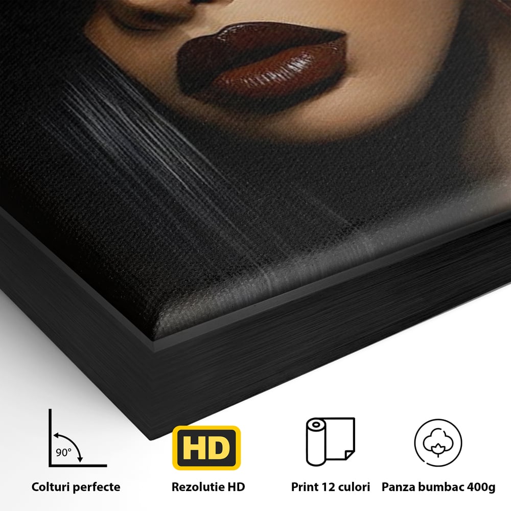 Detaliu al suprafetei: portret feminin stilizat cu palarie neagra, in rama de aluminiu negru