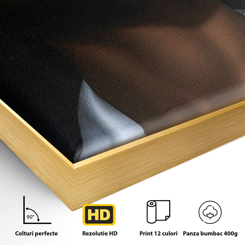 Detaliu al suprafetei: tablou canvas cu portret dual de femeie, in rama de aluminiu auriu
