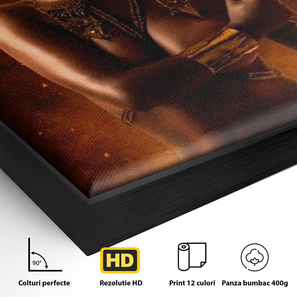 Detaliu al suprafetei: tablou canvas cu femeie si turban, in rama de aluminiu negru