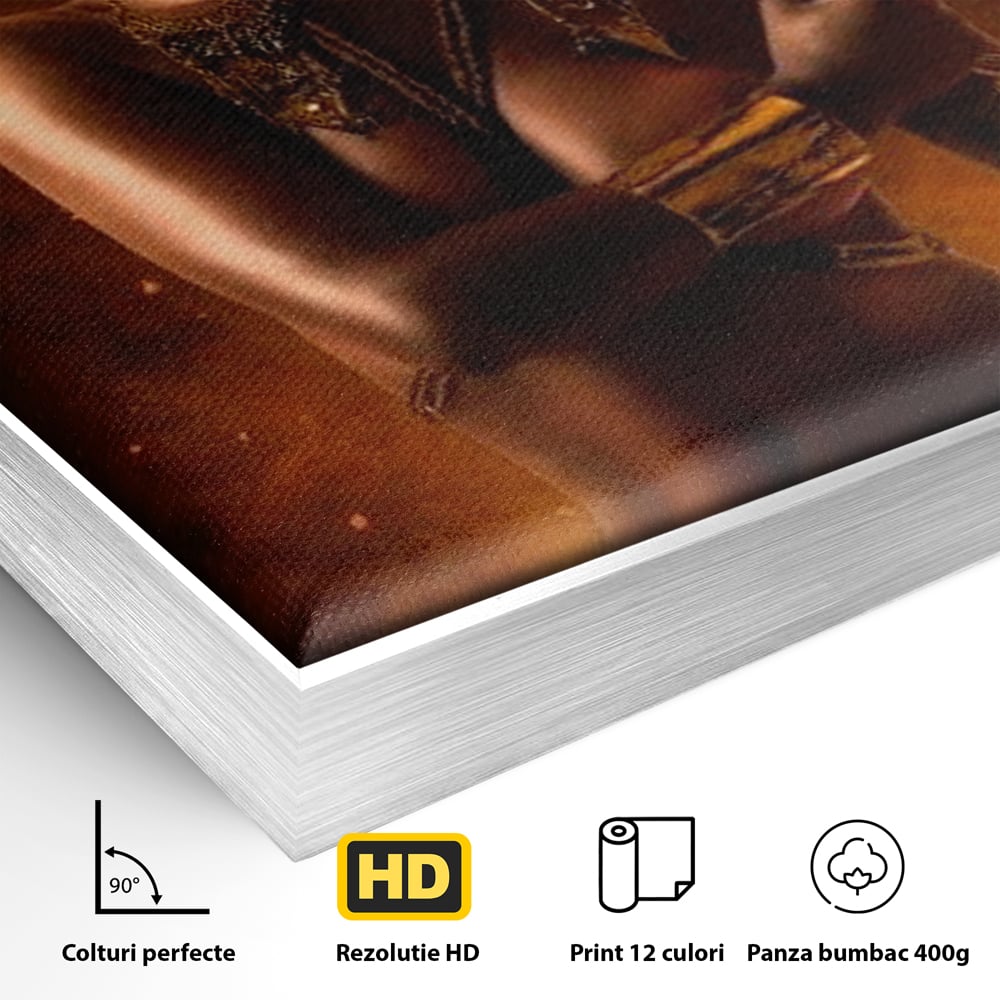 Detaliu al suprafetei: tablou canvas cu femeie si turban, in rama de aluminiu argintiu