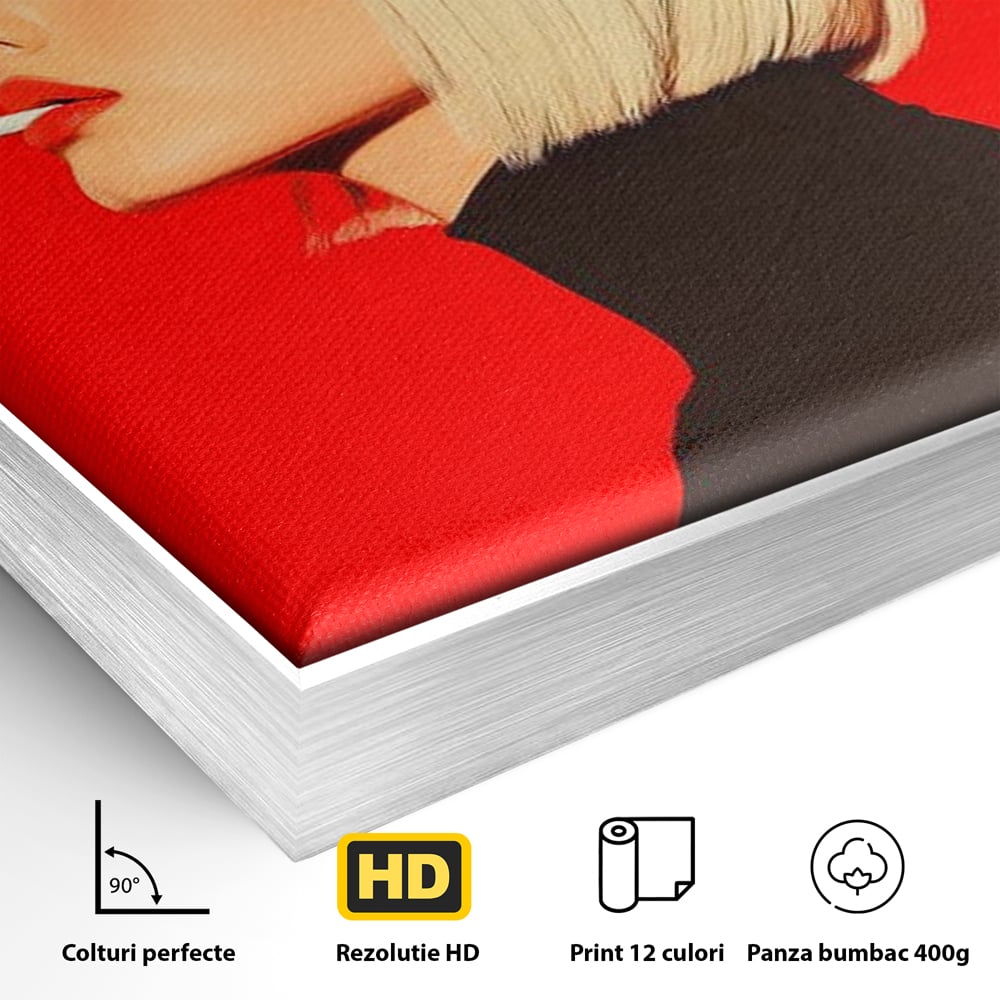 Detaliu al suprafetei: ilustratie digitala cu femeie blonda fumand, in rama de aluminiu argintiu