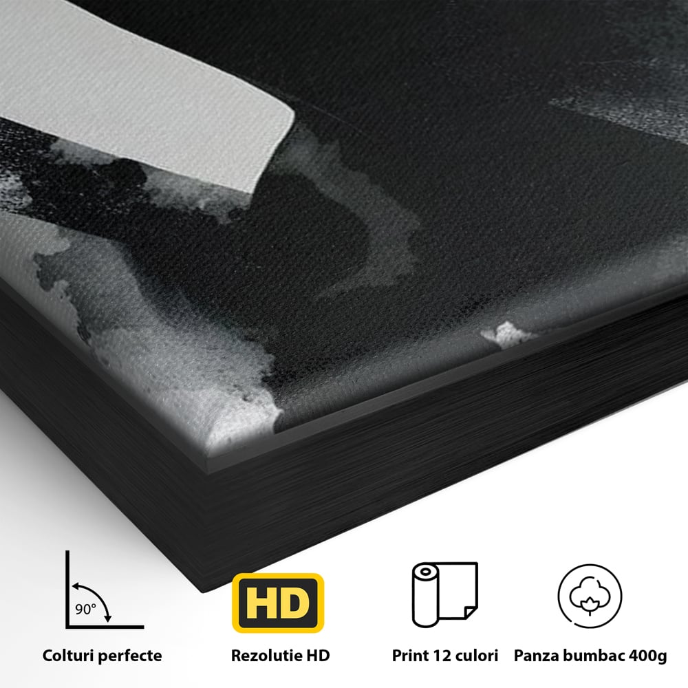 Detaliu al suprafetei: tablou canvas cu portret artistic de femeie, in rama de aluminiu negru