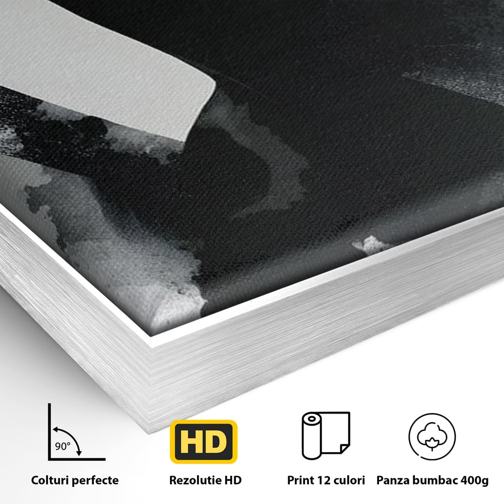Detaliu al suprafetei: tablou canvas cu portret artistic de femeie, in rama de aluminiu argintiu