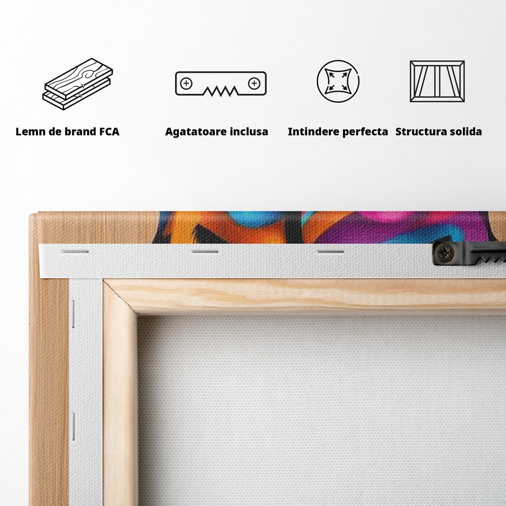 Spatele produsului, cu sasiu din lemn, capse metalice si agatatoare