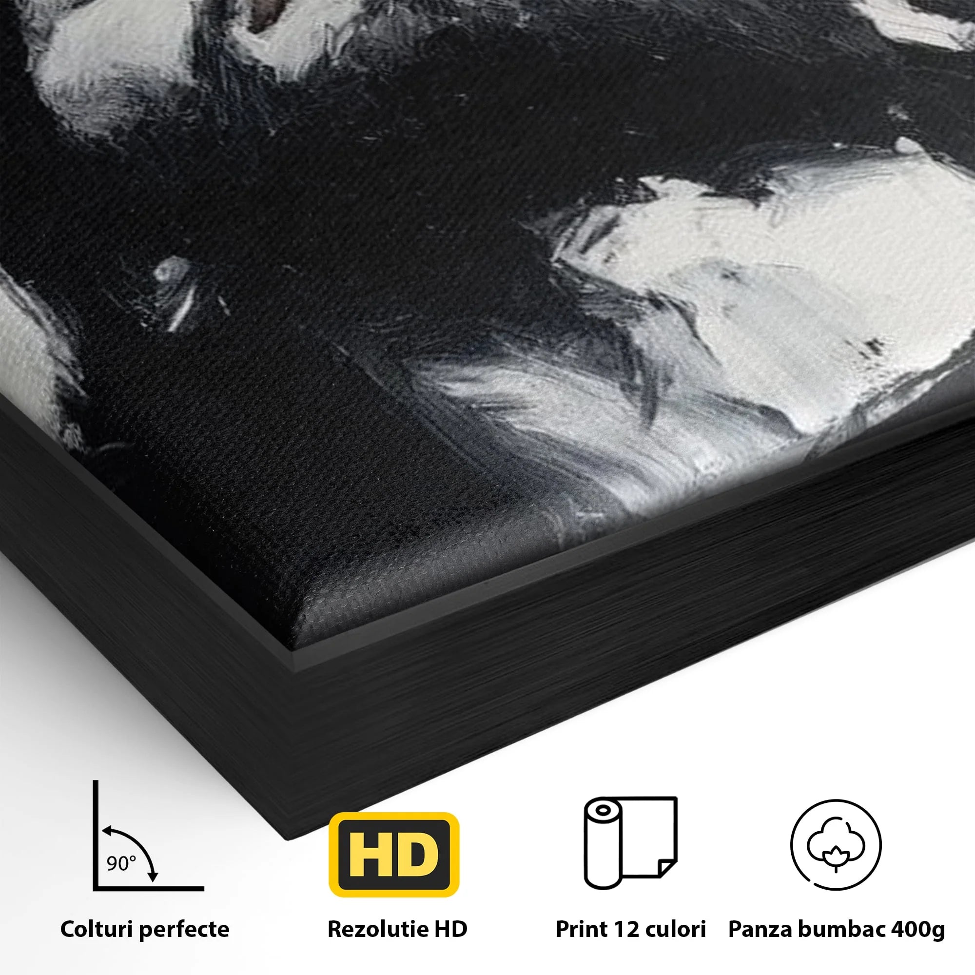 Detaliu al suprafetei: tablou canvas cu pictura barbatului cu coroana de spini, in rama de aluminiu negru