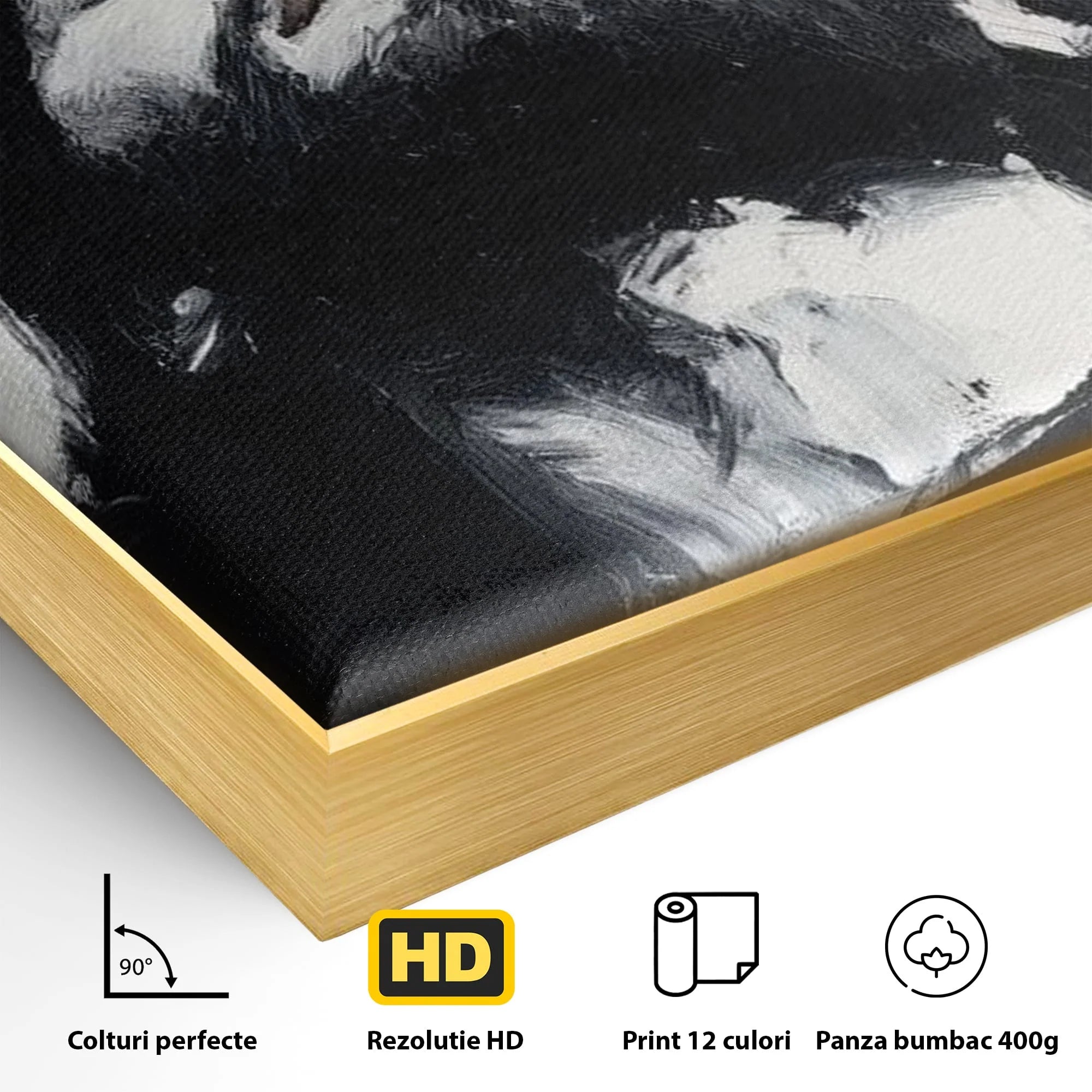 Detaliu al suprafetei: tablou canvas cu pictura barbatului cu coroana de spini, in rama de aluminiu auriu