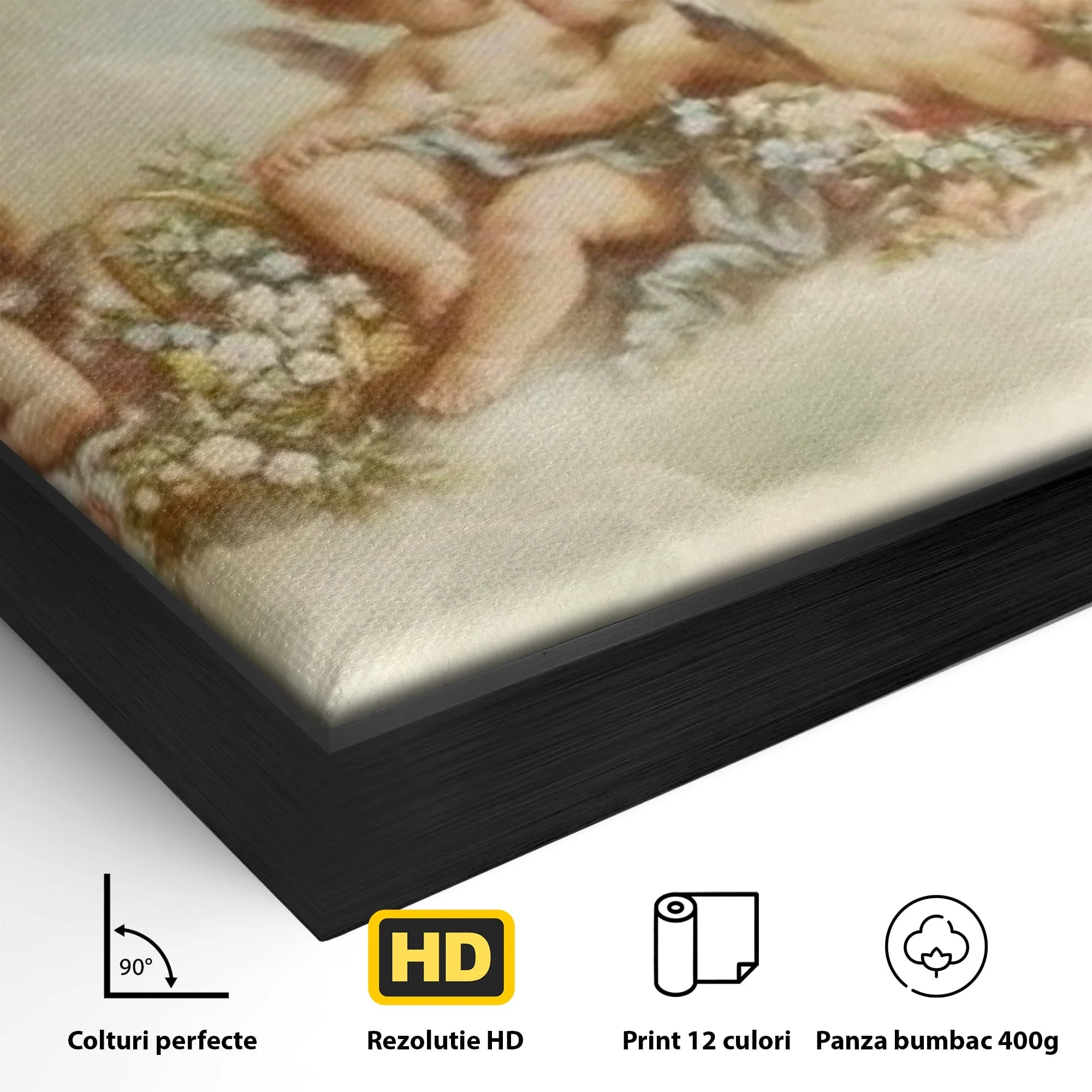 Detaliu al suprafetei: pictura canvas cu ingerase pe nori, in rama de aluminiu negru