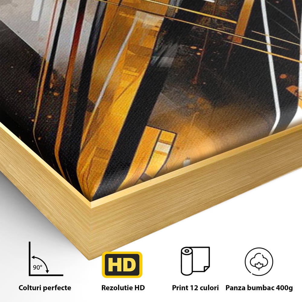 Detaliu al suprafetei: tablou canvas cu forme geometrice abstracte, in rama de aluminiu auriu