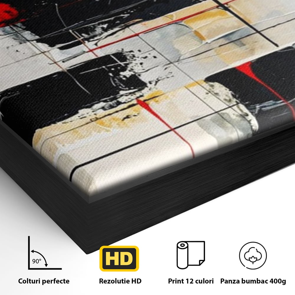 Detaliu al suprafetei: tablou abstract cu cerc rosu si linii negre, in rama de aluminiu negru