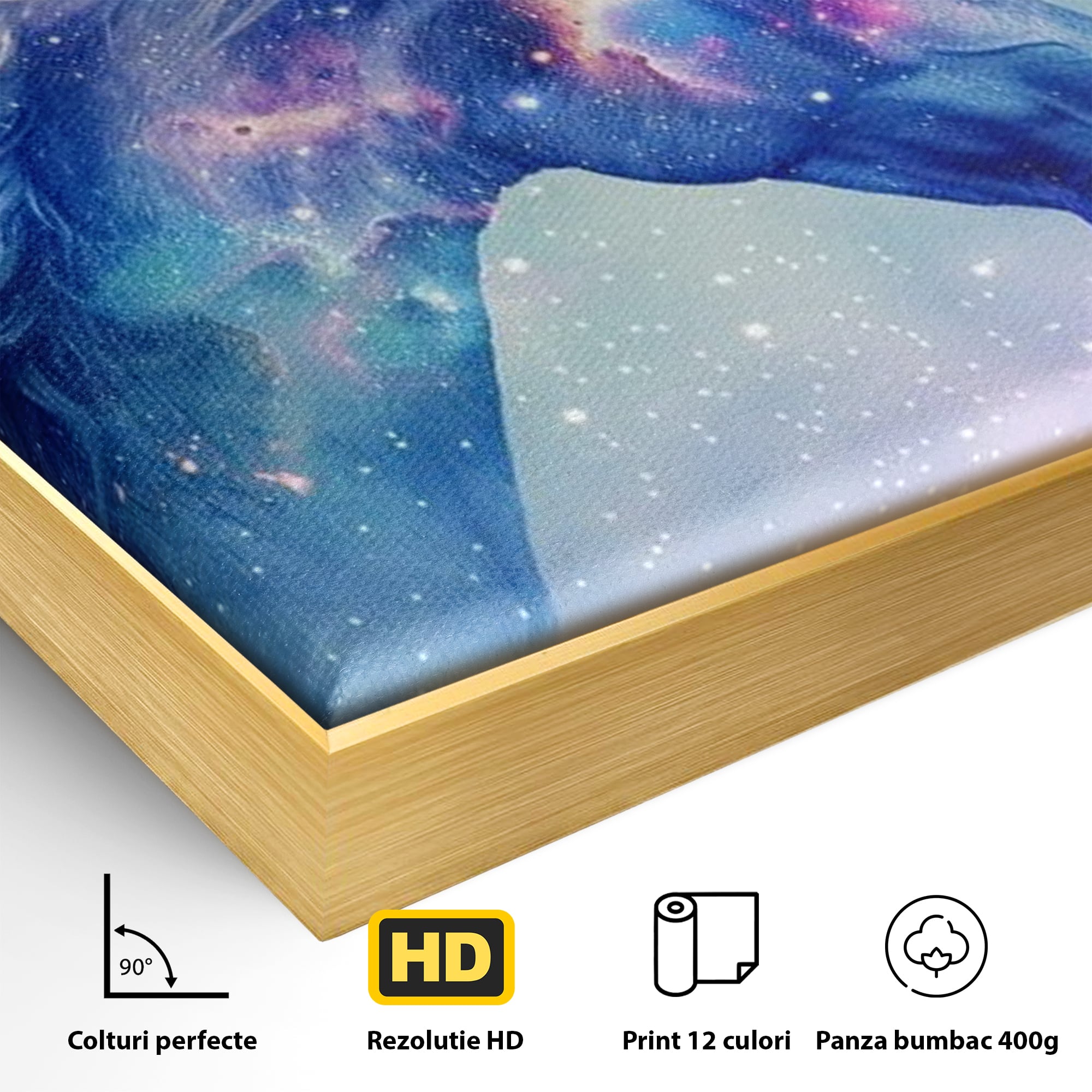 Detaliu al suprafetei: tablou canvas cu unicorn cosmic in galaxie, in rama de aluminiu auriu