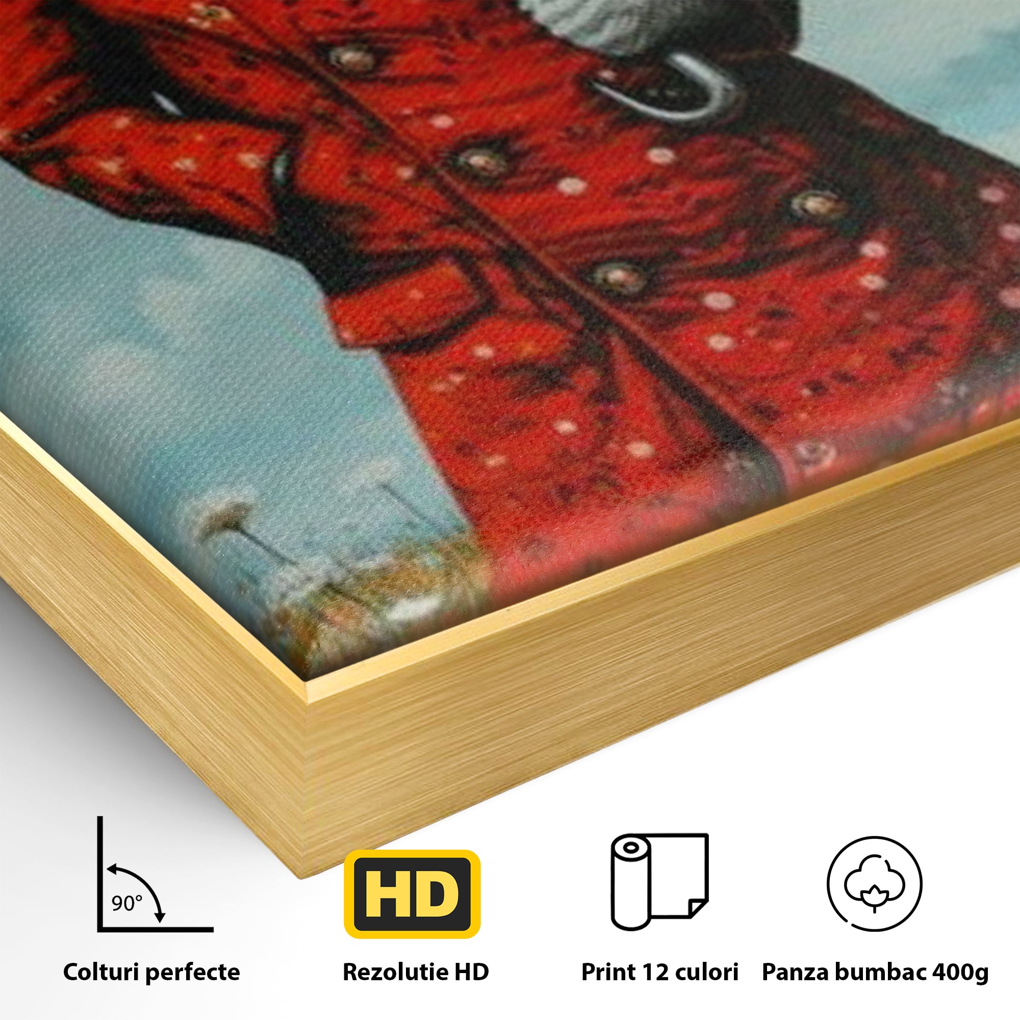 Detaliu al suprafetei: tablou canvas cu iepure antropomorf in haina rosie, in rama de aluminiu auriu