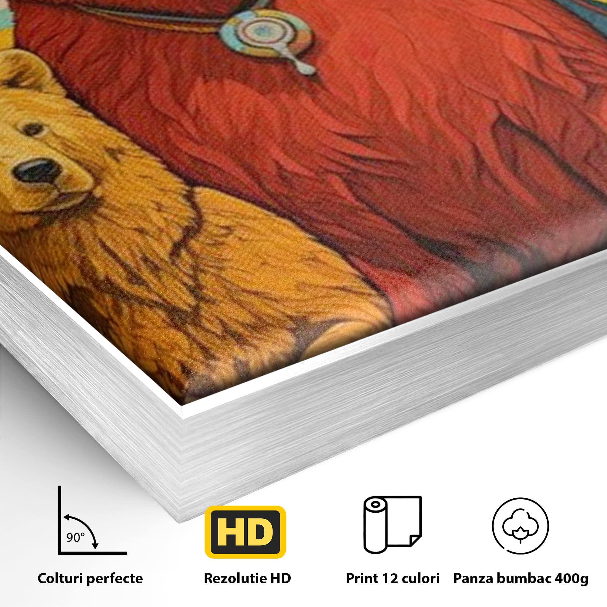 Detaliu al suprafetei: ilustratie digitala cu ursi colorati, in rama de aluminiu argintiu