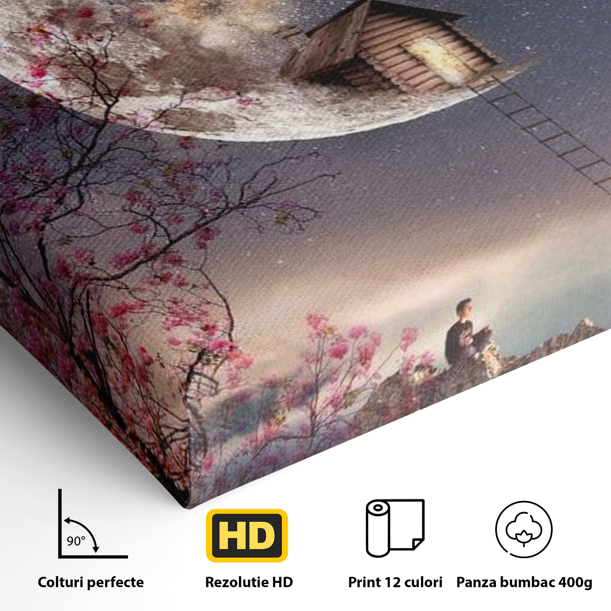 Detaliu al suprafetei: ilustratie digitala cu casa pe luna, fara rama, pe sasiu de lemn