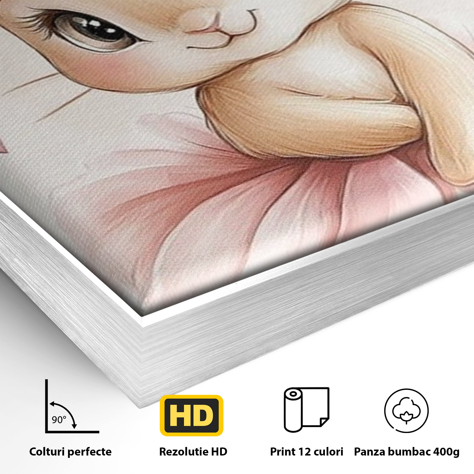 Detaliu al suprafetei: ilustratie cu iepuras balerina, in rama de aluminiu argintiu