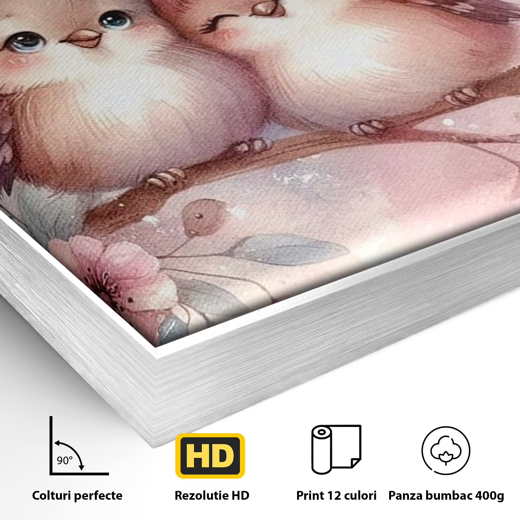 Detaliu al suprafetei: tablou canvas cu pasarele si inimioare, in rama de aluminiu argintiu