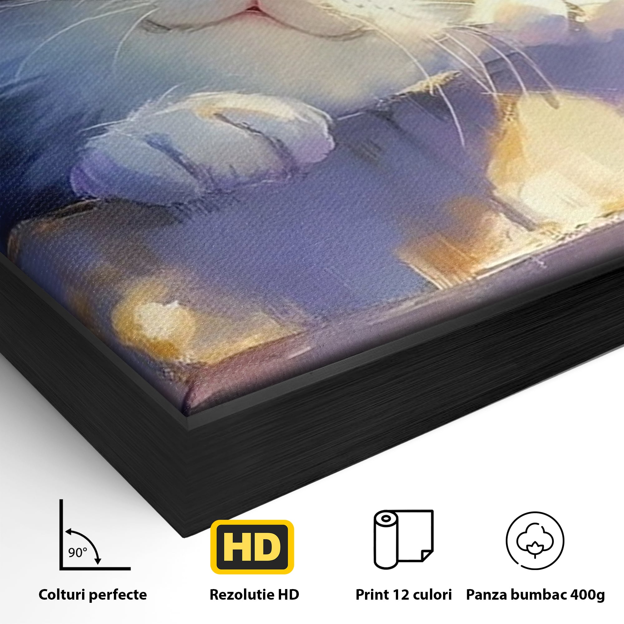 Detaliu al suprafetei: tablou canvas cu pisica pufoasa, in rama de aluminiu negru
