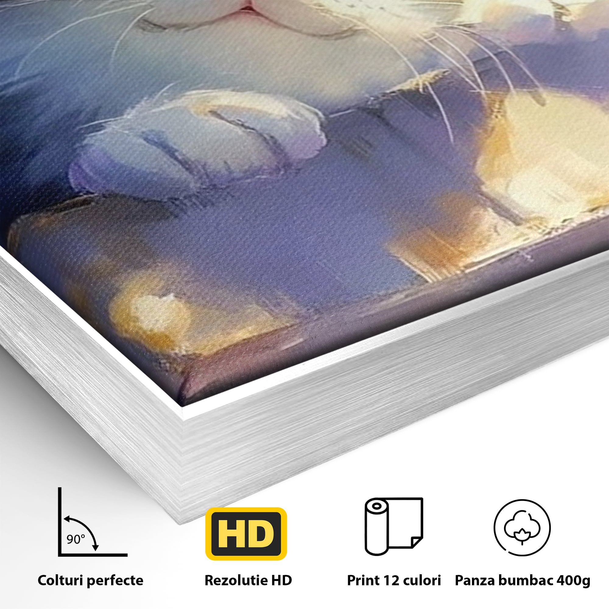 Detaliu al suprafetei: tablou canvas cu pisica pufoasa, in rama de aluminiu argintiu