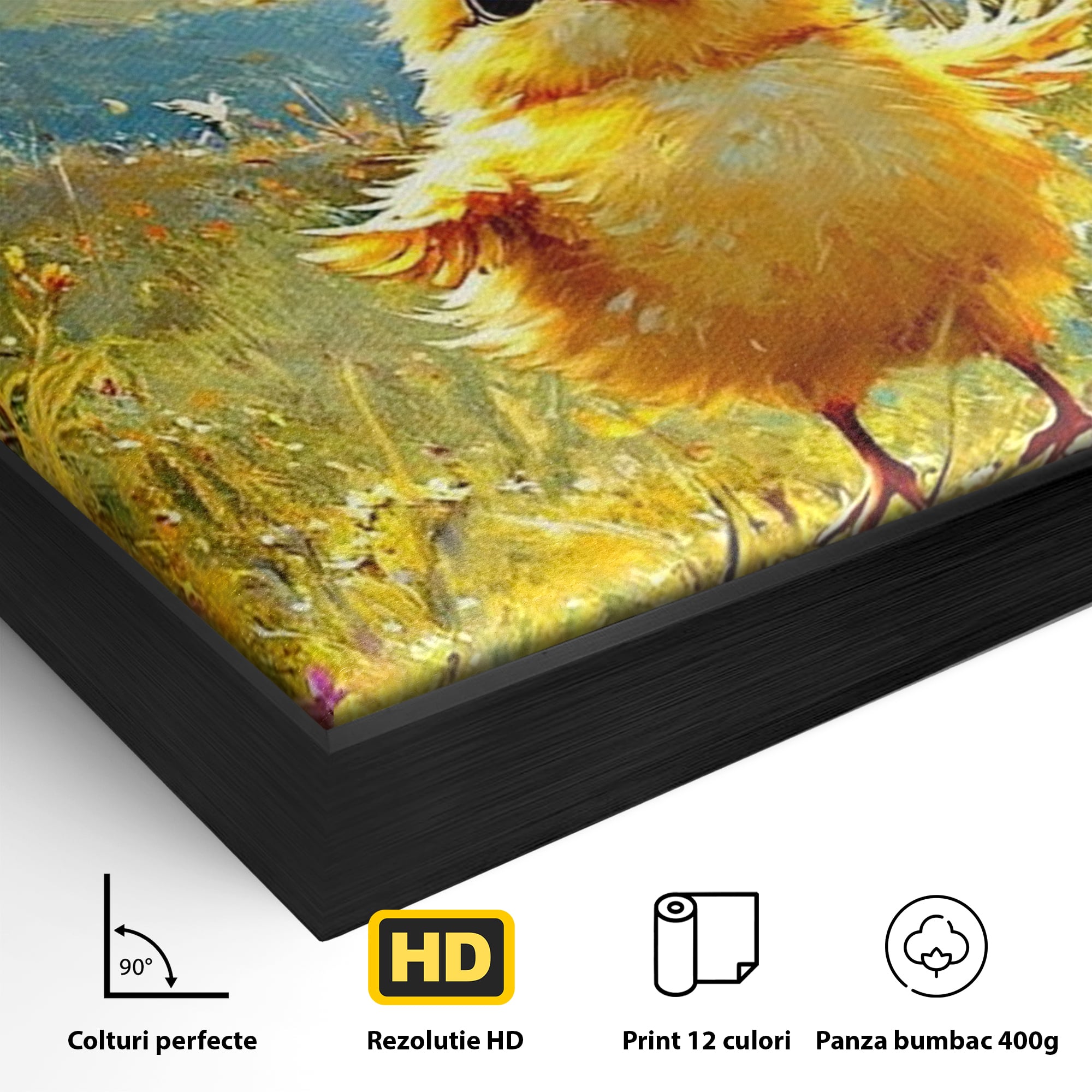 Detaliu al suprafetei: tablou canvas cu pui de pasare si fluture, in rama de aluminiu negru