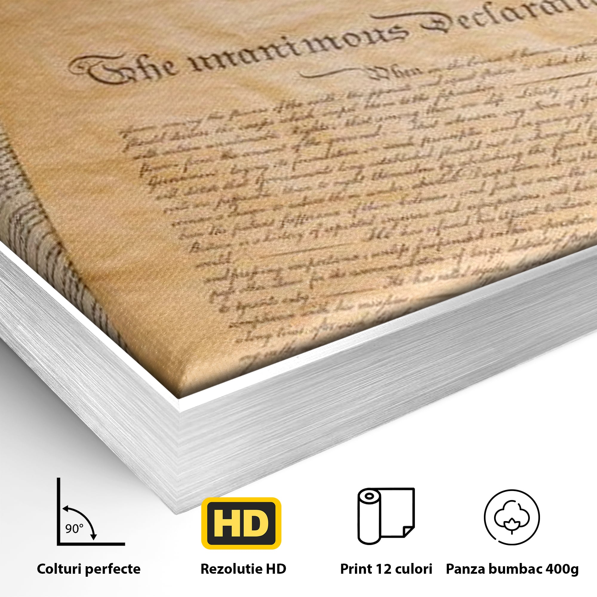 Detaliu al suprafetei: tablou canvas cu steag si documente istorice, in rama de aluminiu argintiu