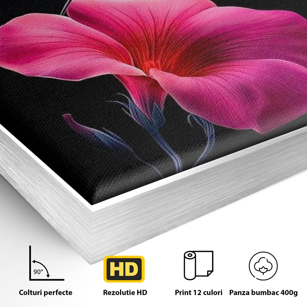 Detaliu al suprafetei: ilustratie digitala cu colibri si floare roz, in rama de aluminiu argintiu