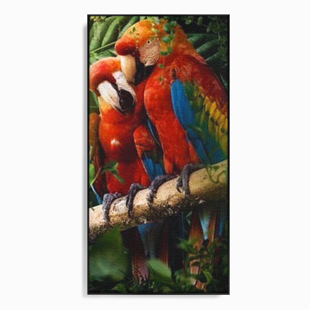 Tablou canvas cu doi papagali pe o creanga, in rama de aluminiu negru
