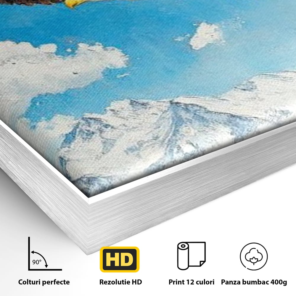 Detaliu al suprafetei: tablou canvas cu vultur in zbor deasupra muntilor, in rama de aluminiu argintiu