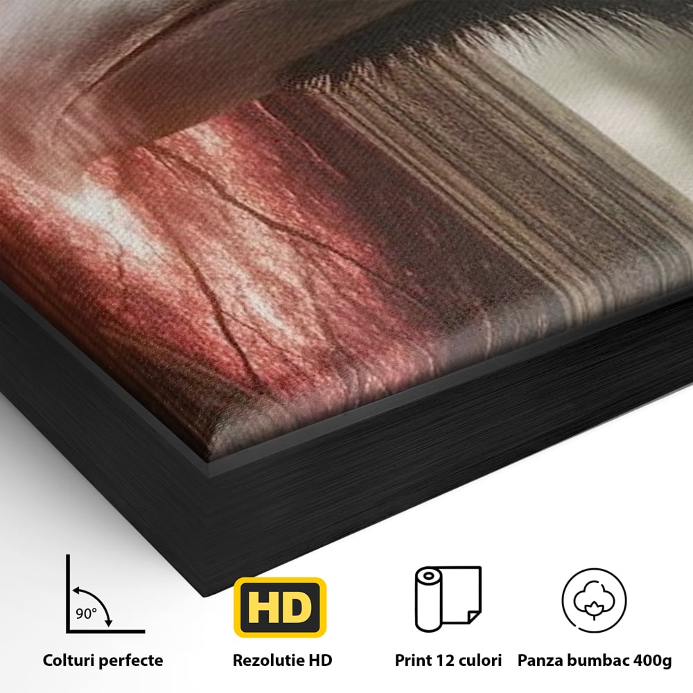 Detaliu al suprafetei: tablou canvas cu un corb si portal rosu, in rama de aluminiu negru