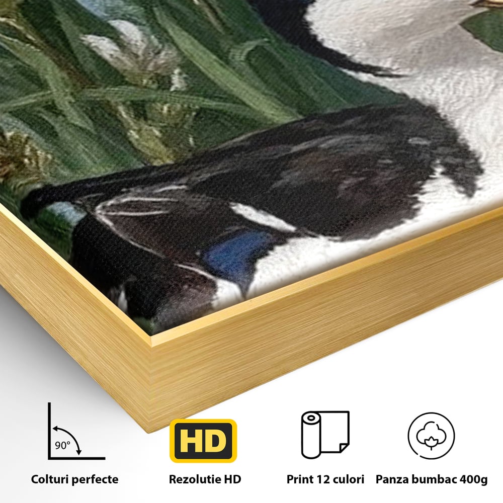 Detaliu al suprafetei: tablou canvas cu rata pe lac si flori de iris, in rama de aluminiu auriu