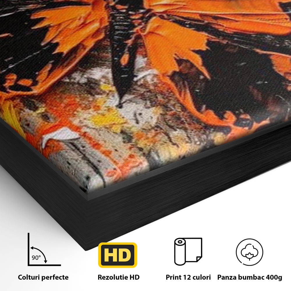 Detaliu al suprafetei: tablou canvas cu fluture portocaliu pe fundal antracit, in rama de aluminiu negru