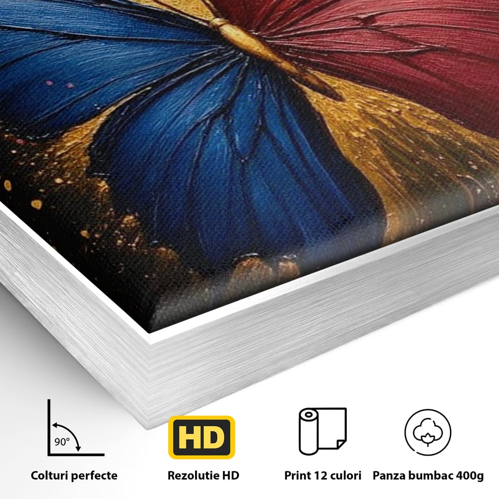Detaliu al suprafetei: tablou canvas cu fluture colorat, in rama de aluminiu argintiu
