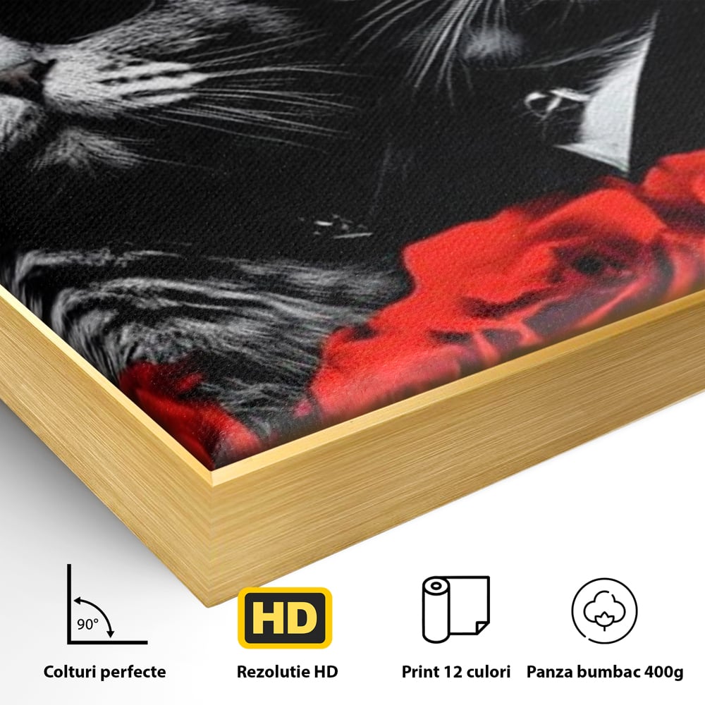 Detaliu al suprafetei: tablou canvas cu pisici gangster, in rama de aluminiu auriu