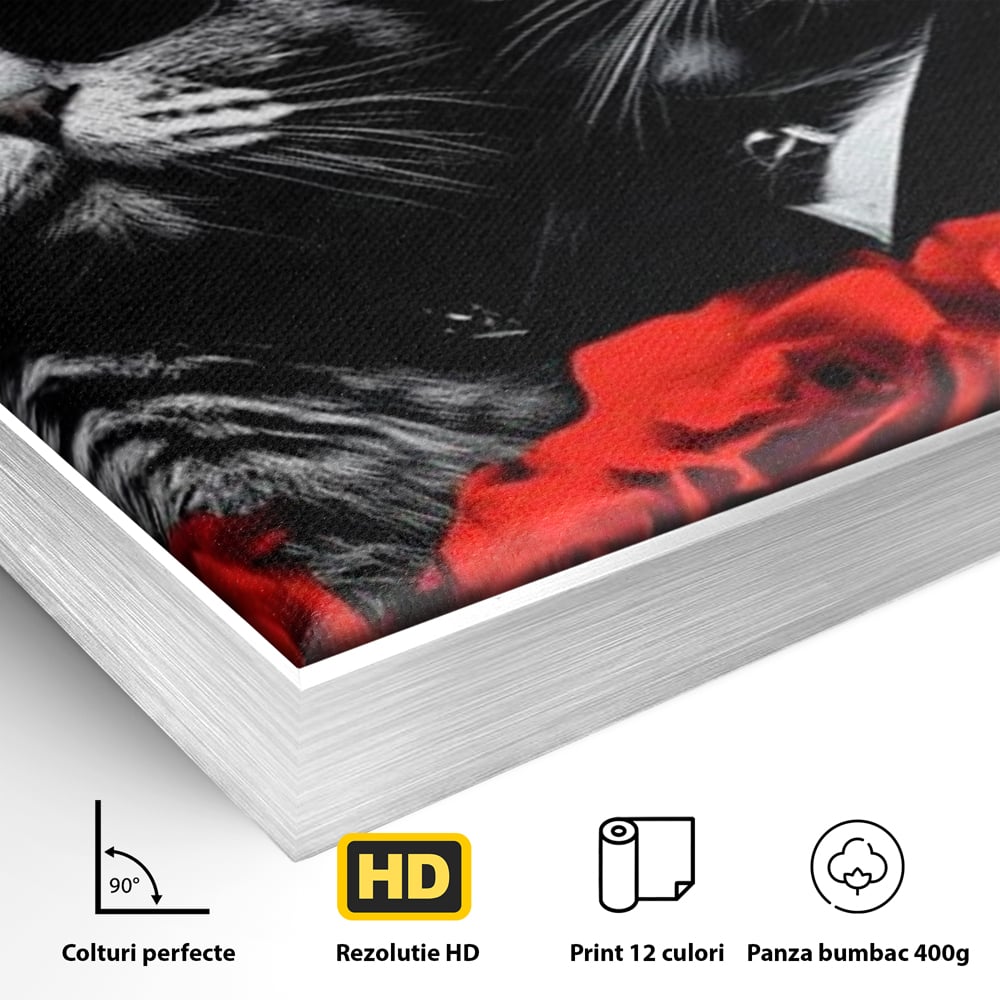Detaliu al suprafetei: tablou canvas cu pisici gangster, in rama de aluminiu argintiu