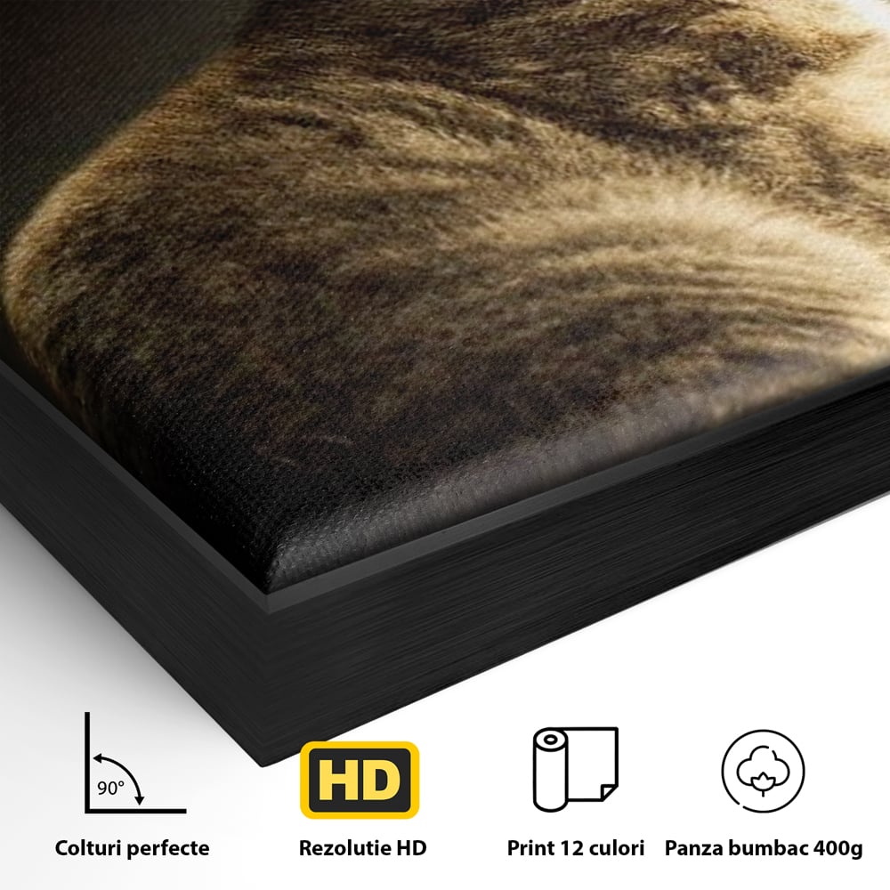 Detaliu al suprafetei: tablou canvas cu pisica si fluture, in rama de aluminiu negru