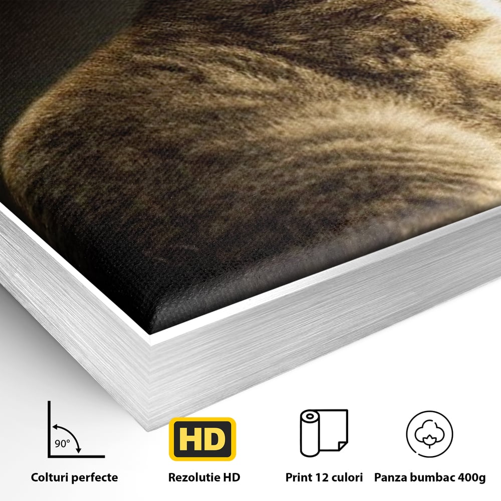 Detaliu al suprafetei: tablou canvas cu pisica si fluture, in rama de aluminiu argintiu