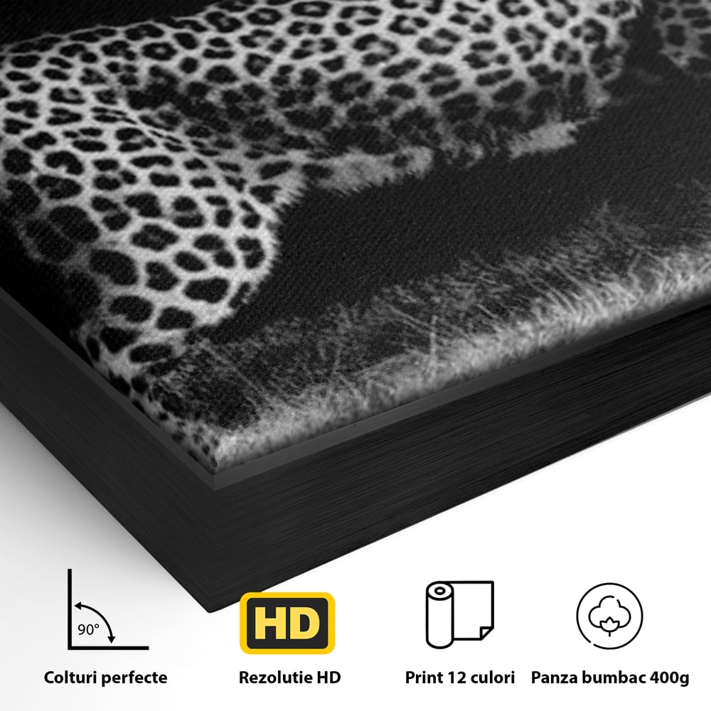 Detaliu al suprafetei: tablou canvas cu jaguar nocturn, in rama de aluminiu negru