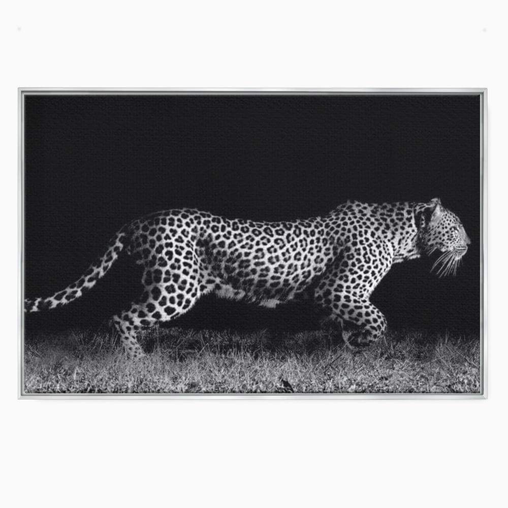 Tablou canvas cu tablou canvas cu jaguar nocturn, in rama de aluminiu argintiu