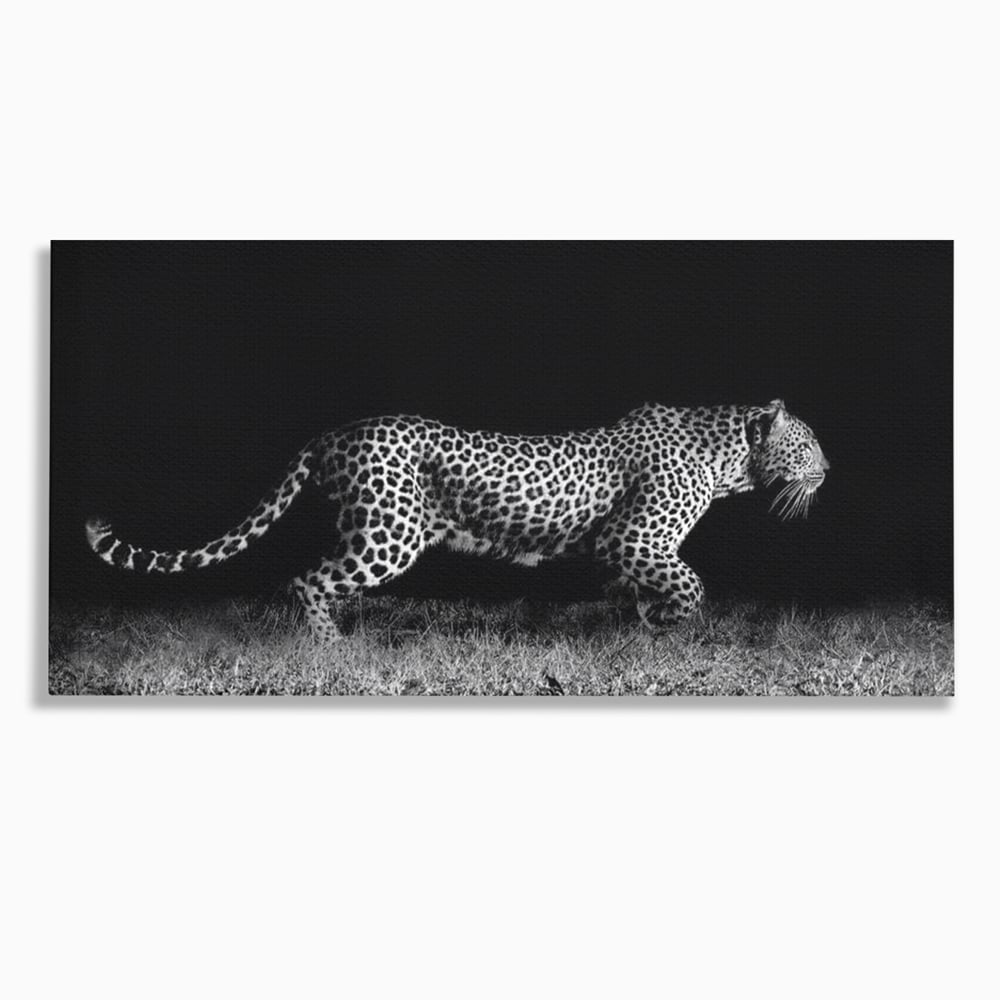 Tablou canvas cu tablou canvas cu jaguar nocturn, fara rama, pe sasiu de lemn