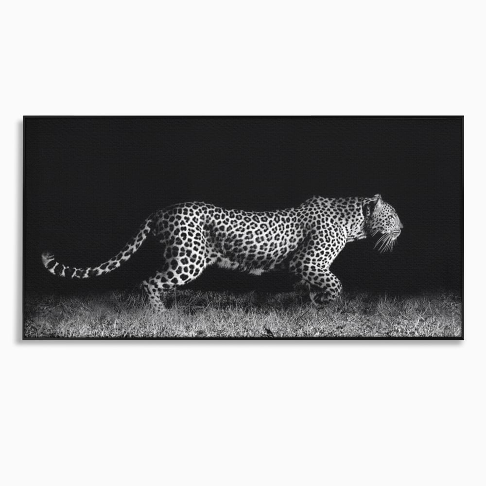 Tablou canvas cu tablou canvas cu jaguar nocturn, in rama de aluminiu negru