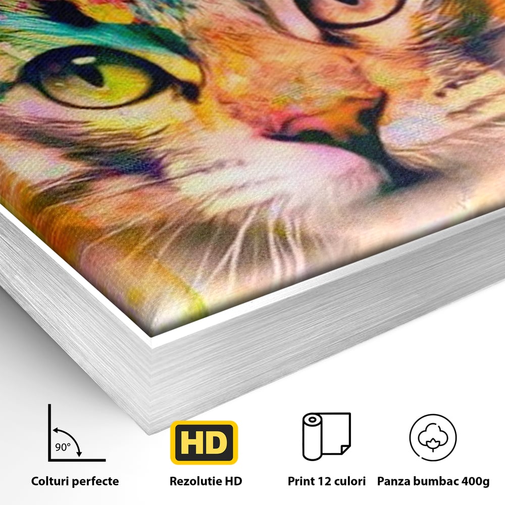 Detaliu al suprafetei: tablou canvas cu pisica in stil graffiti, in rama de aluminiu argintiu