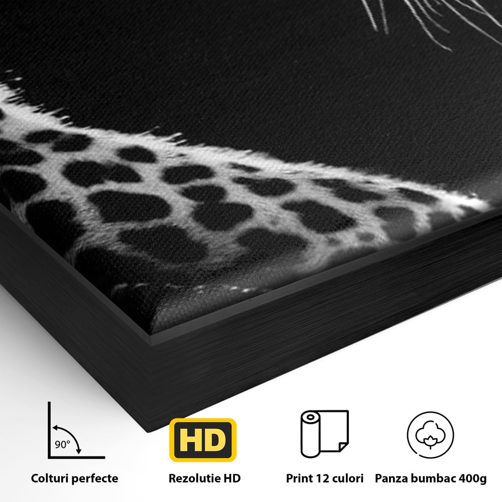 Detaliu al suprafetei: tablou canvas cu leopard in profil, in rama de aluminiu negru
