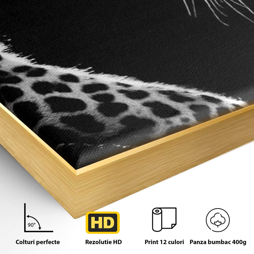 Detaliu al suprafetei: tablou canvas cu leopard in profil, in rama de aluminiu auriu