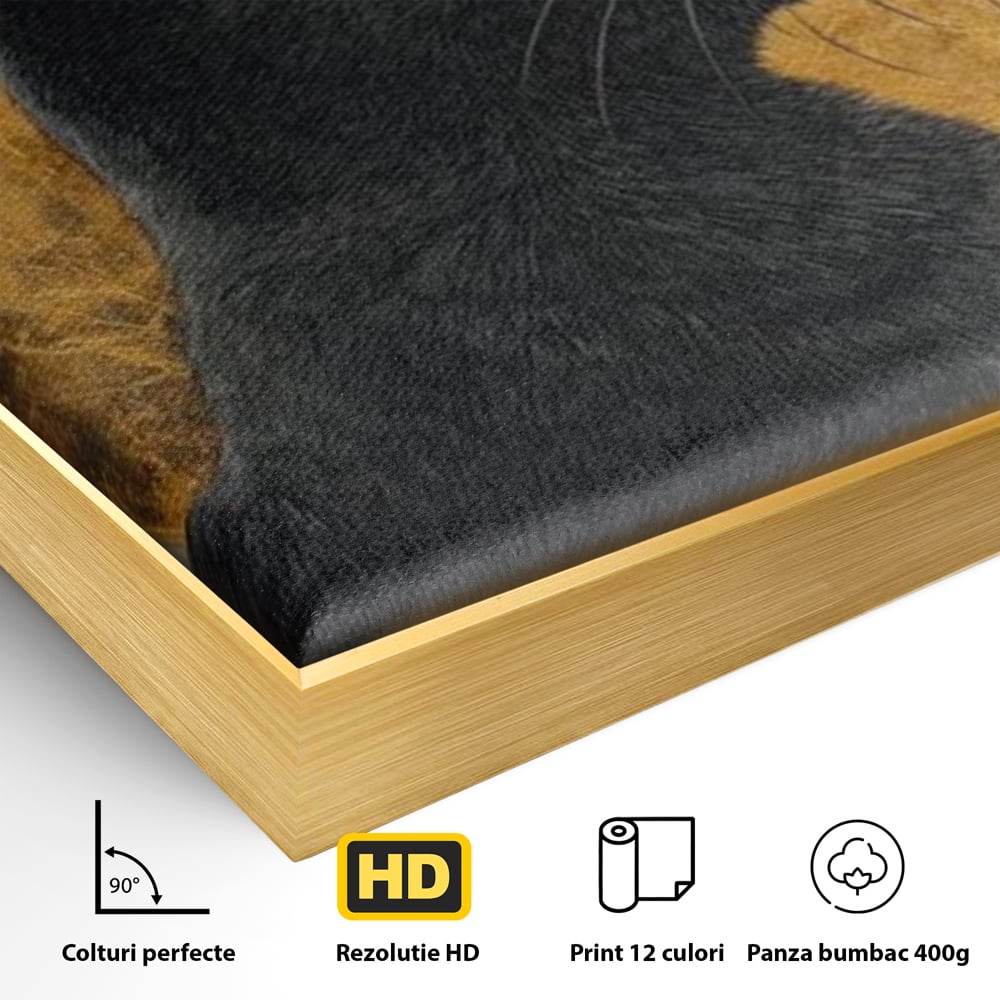 Detaliu al suprafetei: tablou canvas cu pisica neagra si luna, in rama de aluminiu auriu
