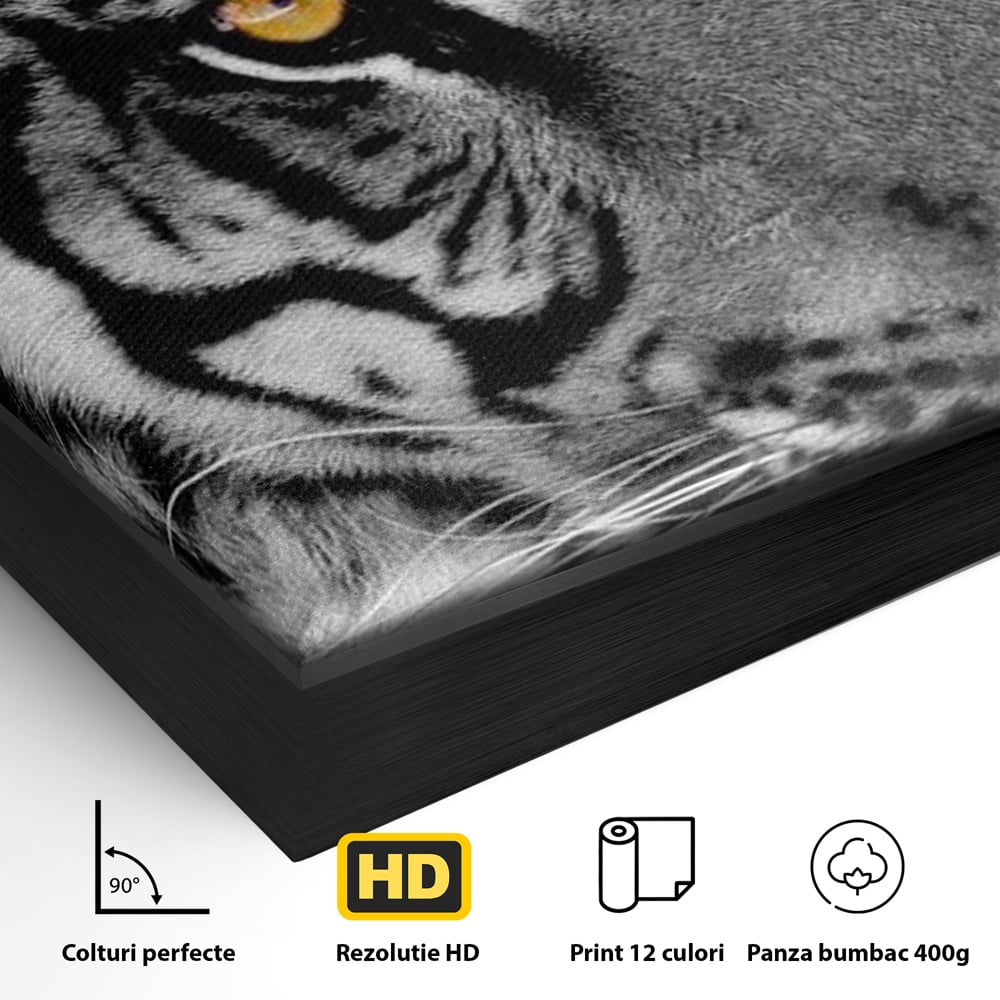 Detaliu al suprafetei: tablou canvas cu tigru alb-negru, in rama de aluminiu negru