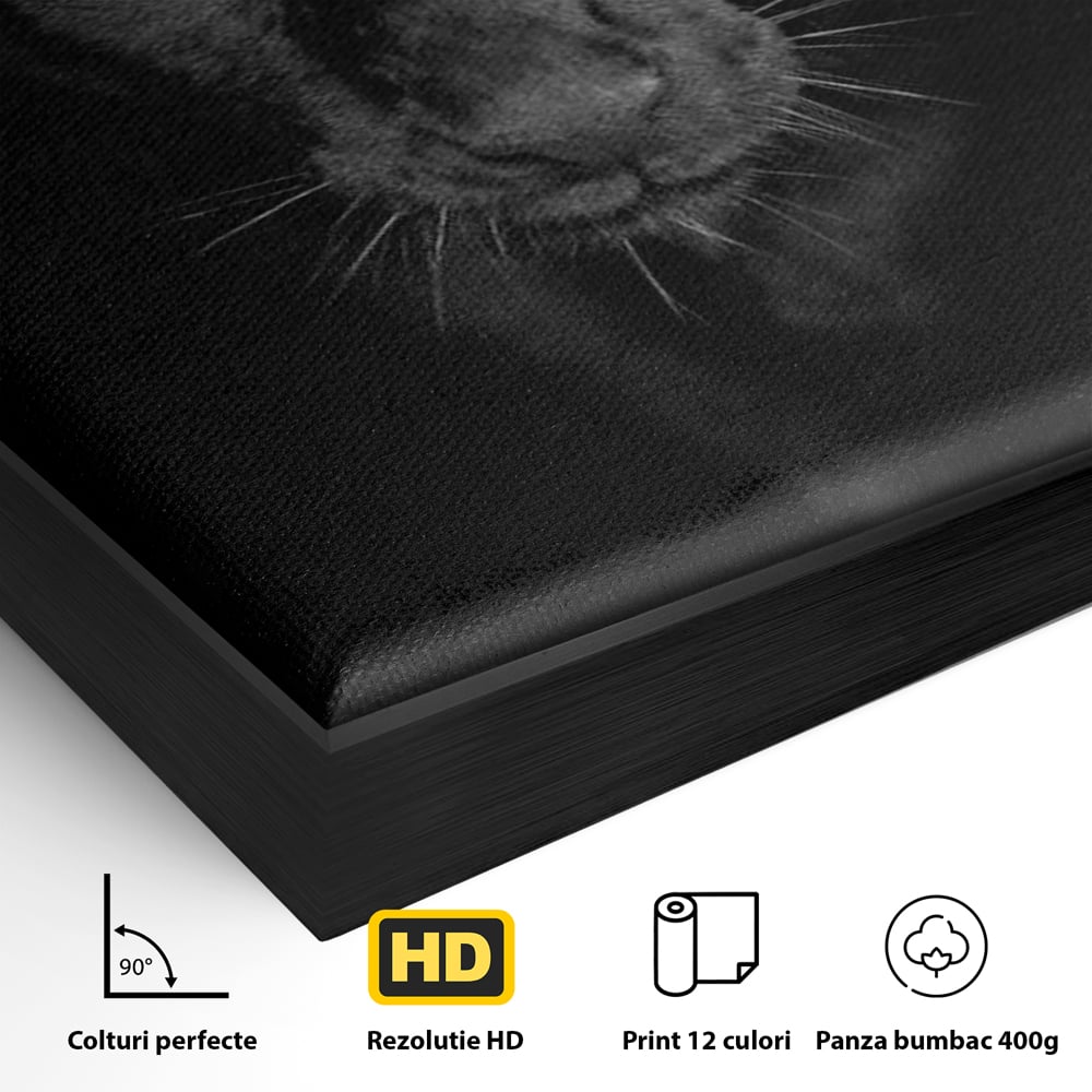 Detaliu al suprafetei: tablou canvas cu pantera neagra, in rama de aluminiu negru
