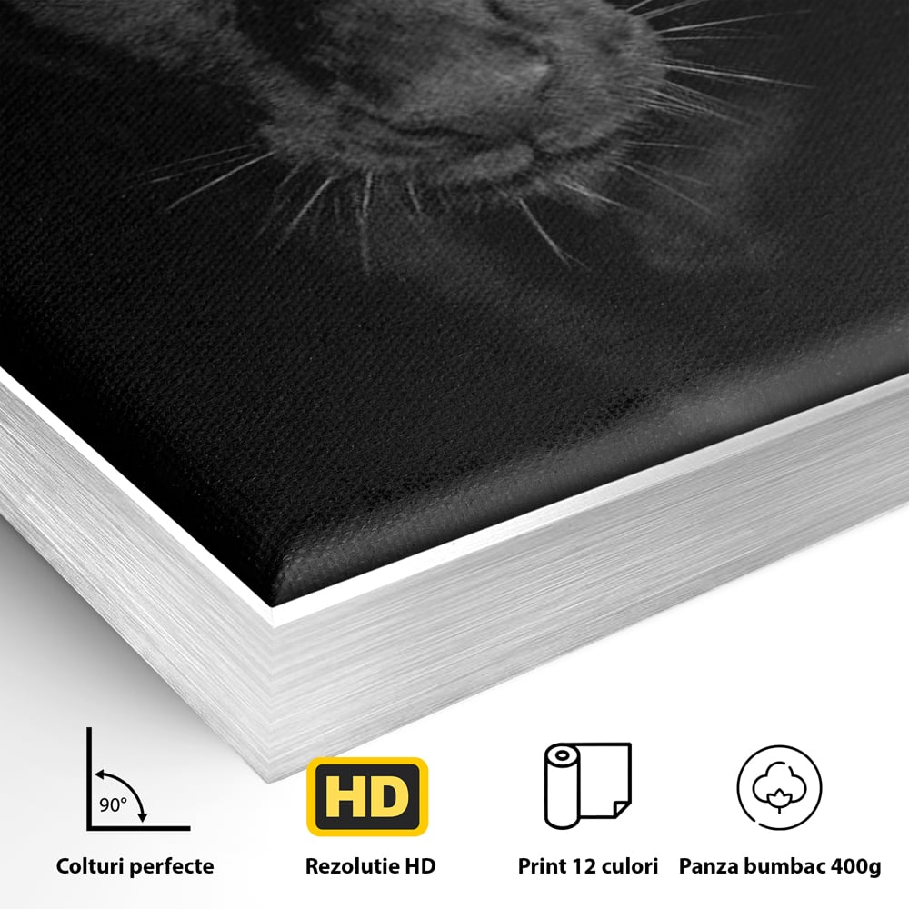Detaliu al suprafetei: tablou canvas cu pantera neagra, in rama de aluminiu argintiu