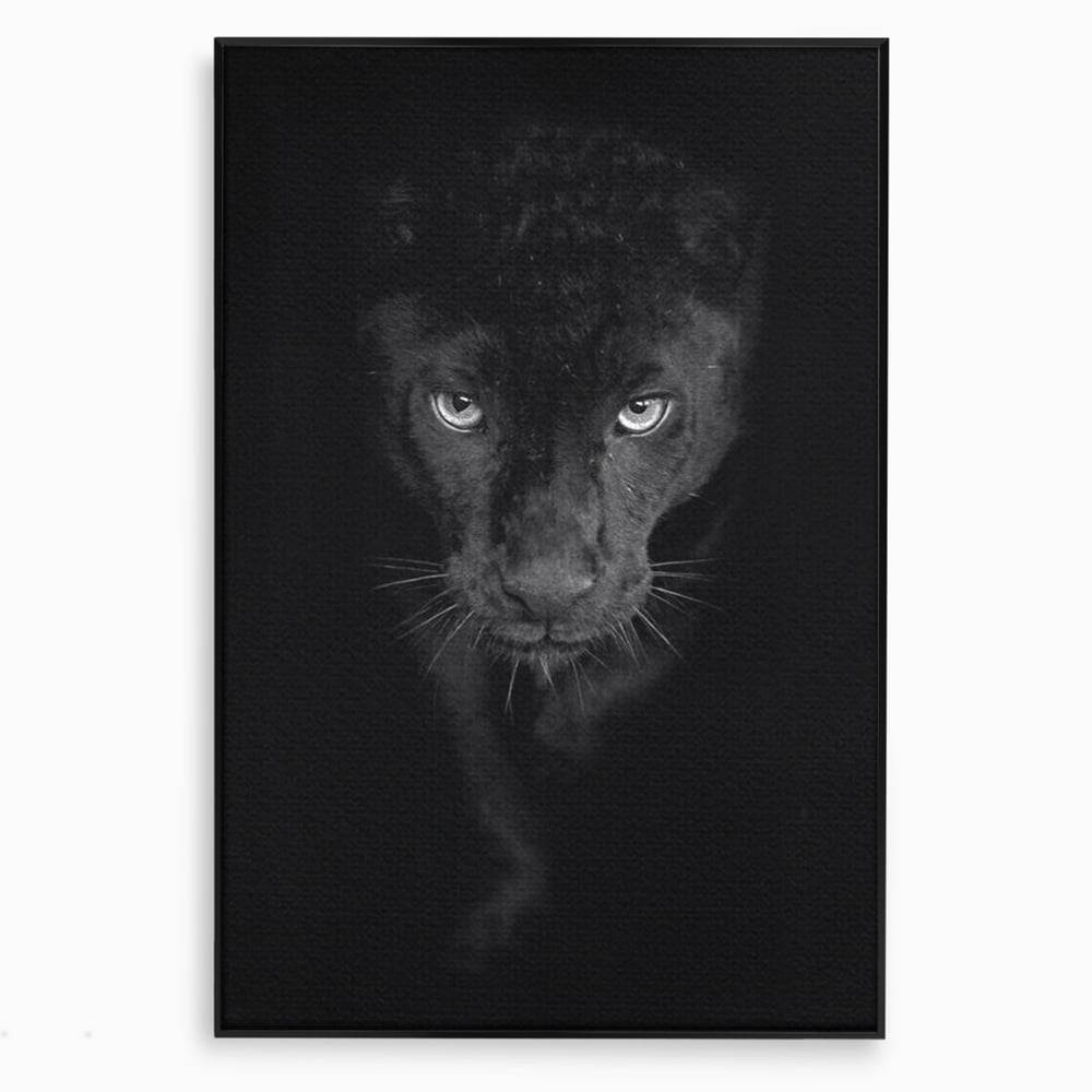 Tablou canvas cu tablou canvas cu pantera neagra, in rama de aluminiu negru
