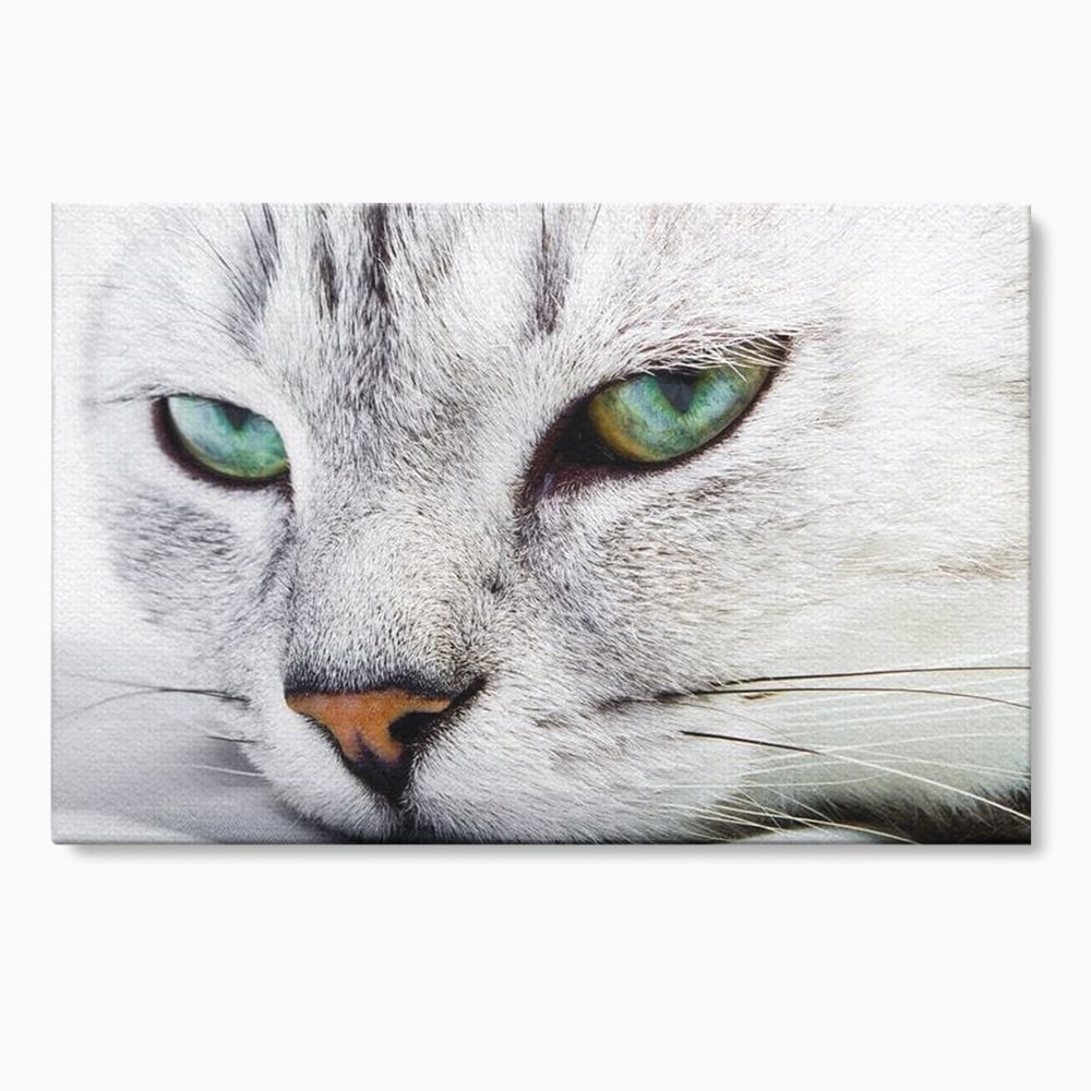 Tablou canvas cu tablou canvas cu ochi de pisica, fara rama, pe sasiu de lemn