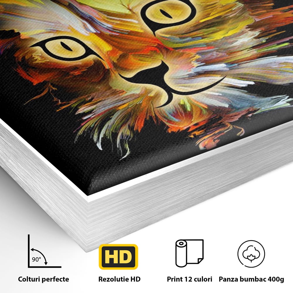 Detaliu al suprafetei: tablou canvas cu pisica abstracta, in rama de aluminiu argintiu