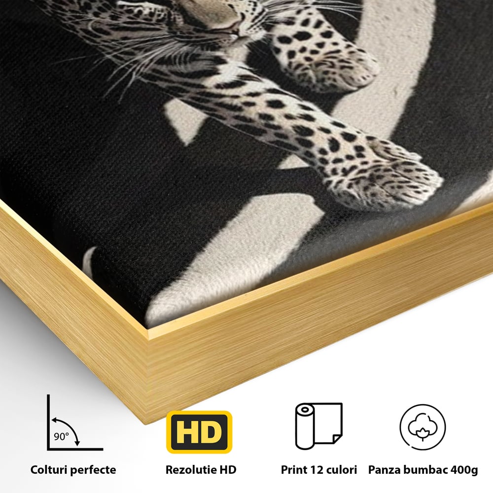 Detaliu al suprafetei: tablou canvas cu leopard pe fundal spiralat alb-negru, in rama de aluminiu auriu